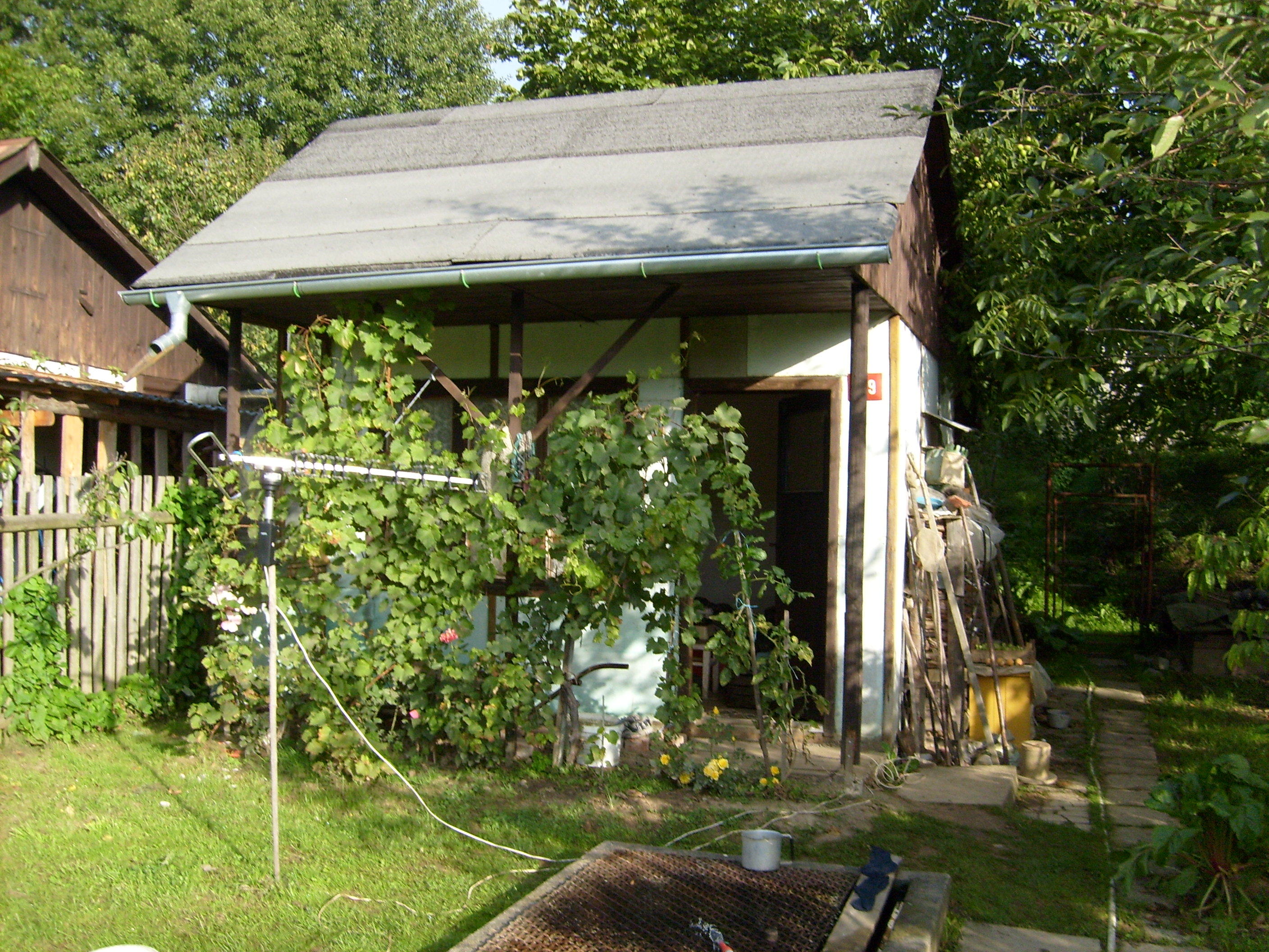 S6300807.JPG