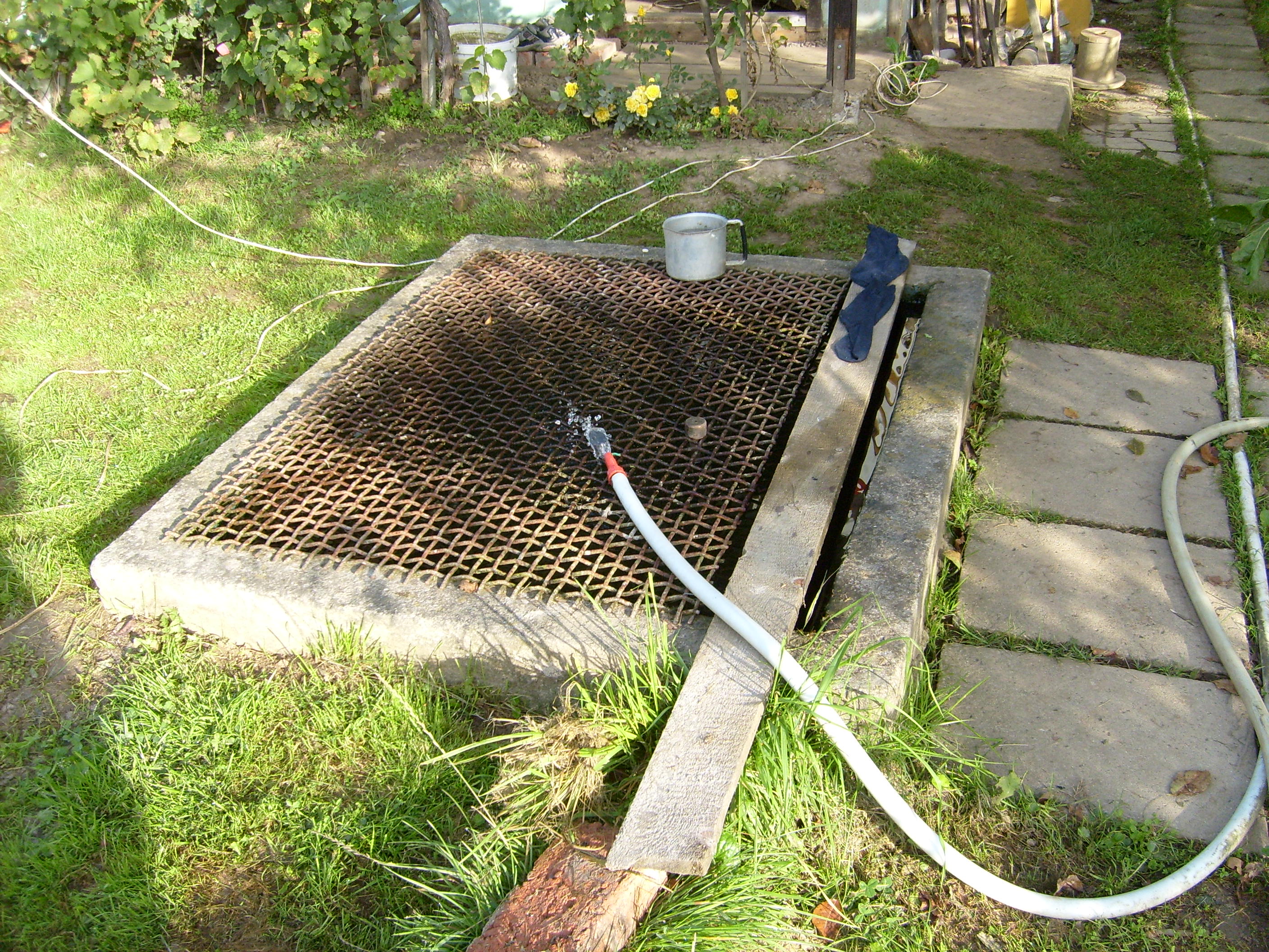 S6300809.JPG